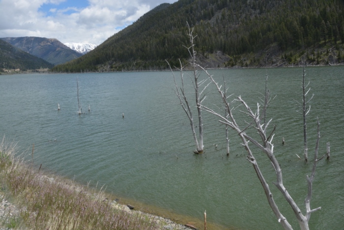 Earthquake Lake